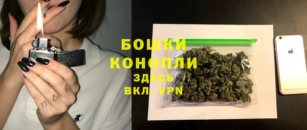 дмт Арсеньев